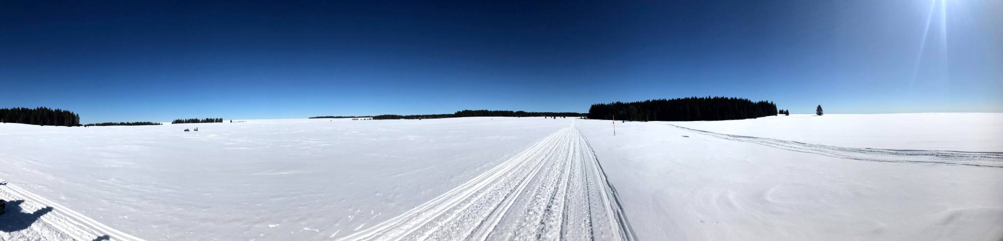 A panoramic photo of a snowy landscape under a bright blue sky. Snowmobile tracks curve across the center of the image, and two tiny people on snowmobiles are visible in the distance. Clumps of black evergreen trees appear near the horizon.