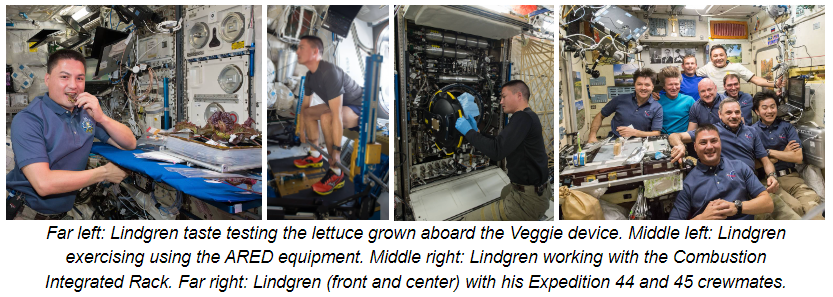 Far left: Lindgren taste testing the lettuce grown aboard the Veggie device. Middle left: Lindgren exercising using the ARED equipment. Middle right: Lindgren working with the Combustion Integrated Rack. Far right: Lindgren (front and center) with his Expedition 44 and 45 crewmates.