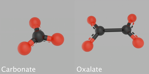 A model of a carbonate molecule next to an oxalate molecule