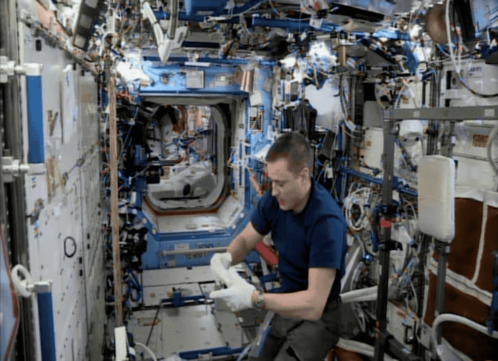 Astronaut wipes down surface inside space station