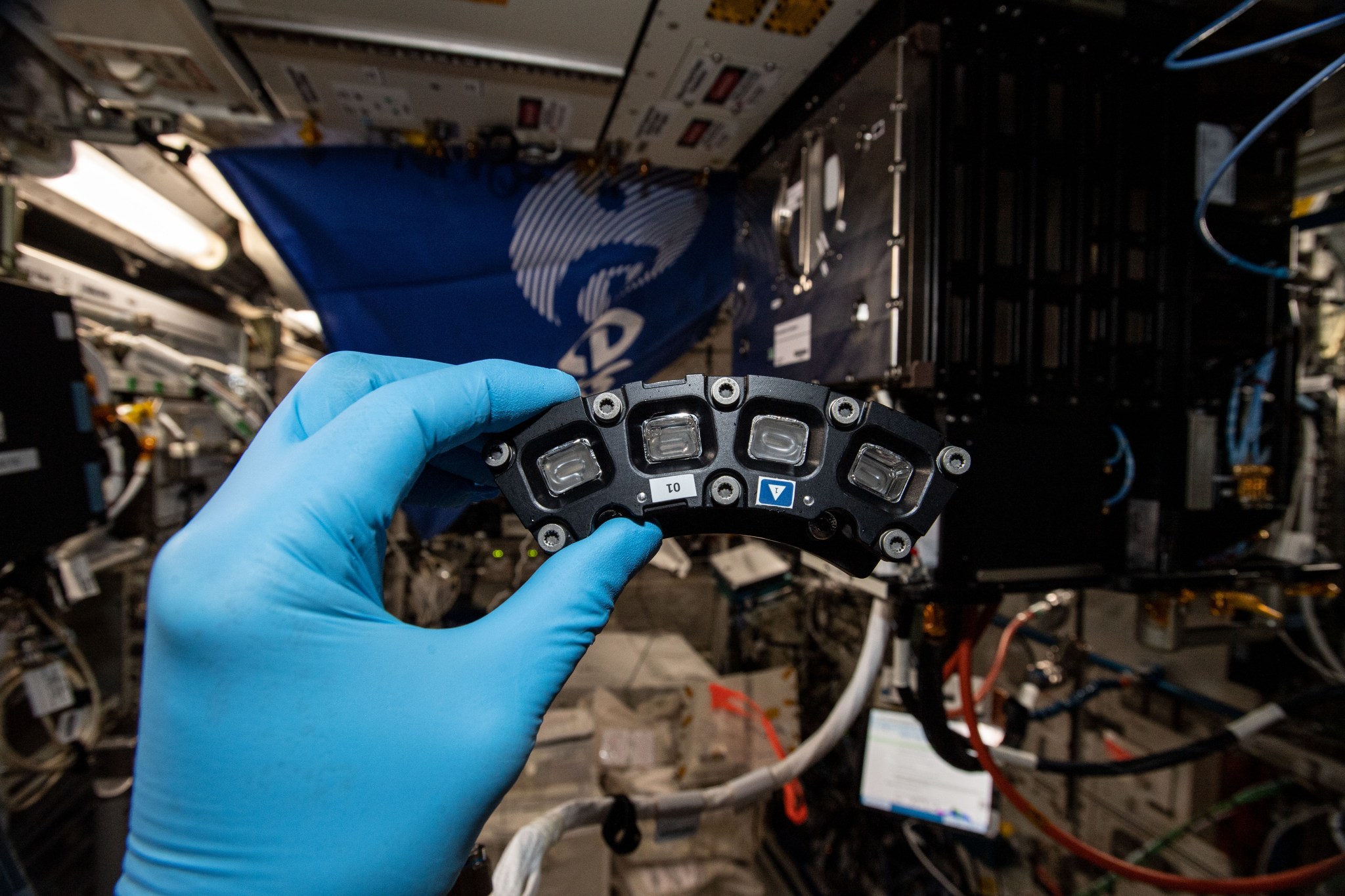 Sample cell hardware for FOAM, an investigation studying wet foams in microgravity.