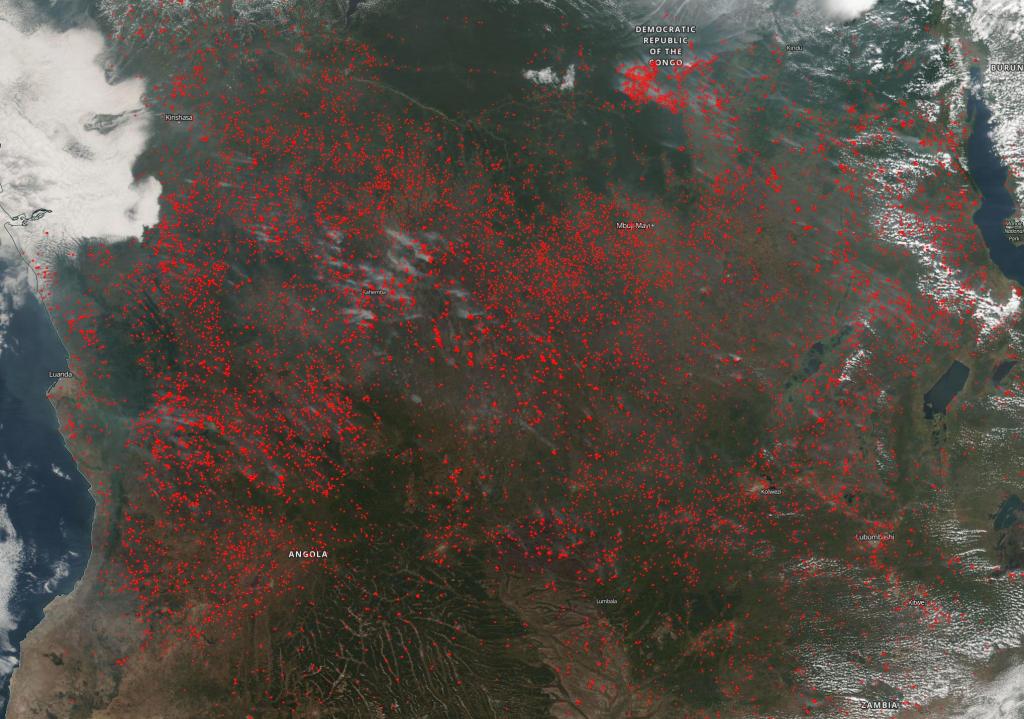 Both Angola and the Democratic Republic of the Congo Experiencing High Numbers of Agricultural Fires