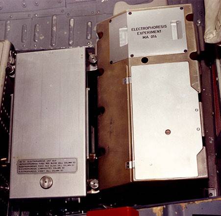 astp_l-1_month_electrophoresis_experiment