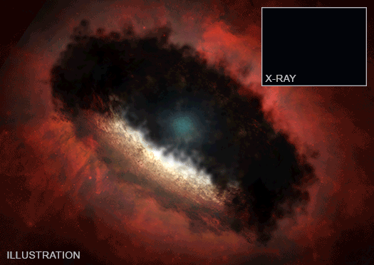 Animated GIF of X-rays From a Newborn Star Hint at Our Sun's Earliest Days.