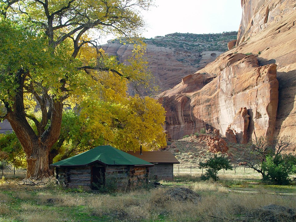 leaves changing color in the fall in Canyon de Chelly National Monument.