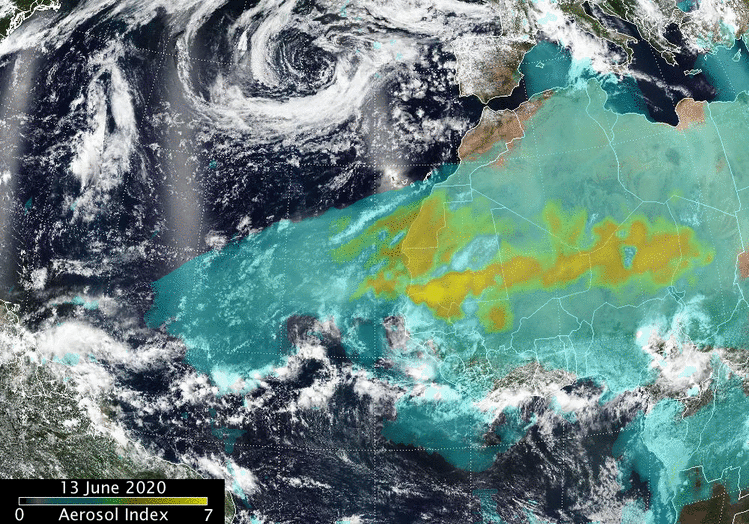 This animation shows the aerosols in the giant plume of Saharan Dust blowing off the western coast of Africa on 6/13-6/18, 2020. The aerosols are yellow where they are most concentrated in the center of the image and teal in an irregular shaped cloud around the yellow.
