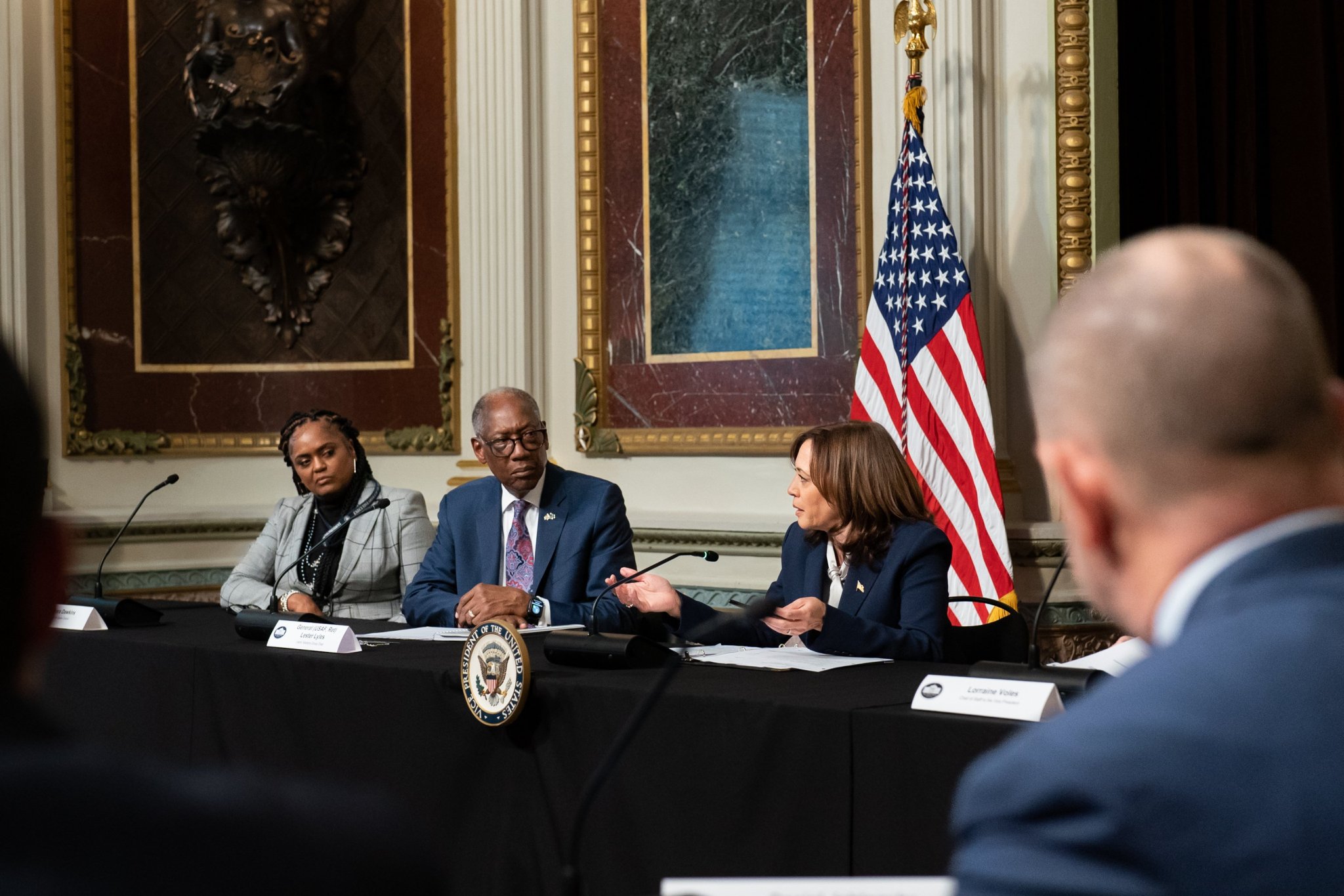 Members of the Users' Advisory Group sit at a table listening to Vice President Kamala Harris speak.