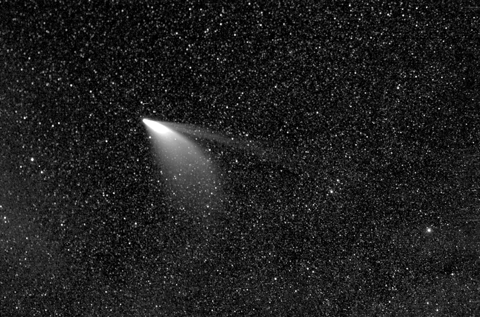 Comet NEOWISE appears against a backdrop teeming with stars in this processed image