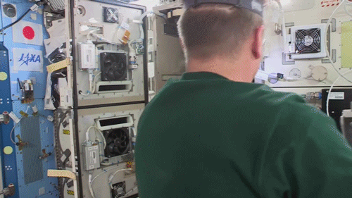 astronaut Chris Cassidy works on CBEF-L