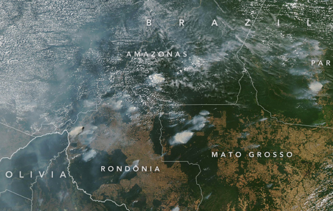 Satellite image of the Amazon region, which is mostly dark green vegetation with swaths of darker brown. Gray plumes of smoke hover over the landscape.