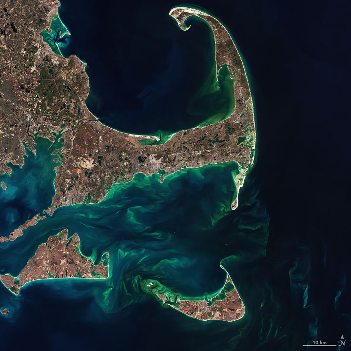 Orbital view of Cape Cod with colorful plankton blooms around the coasts.