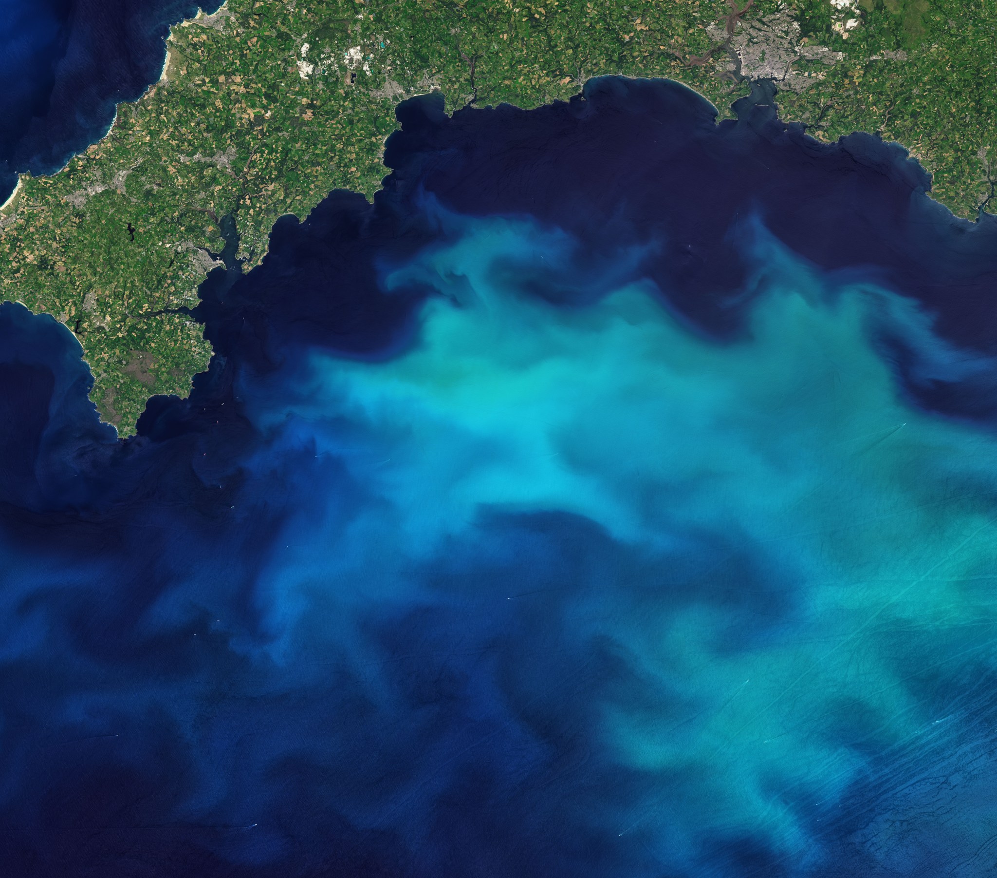 A bright turquoise phytoplankton bloom in the English Channel, viewed from space.