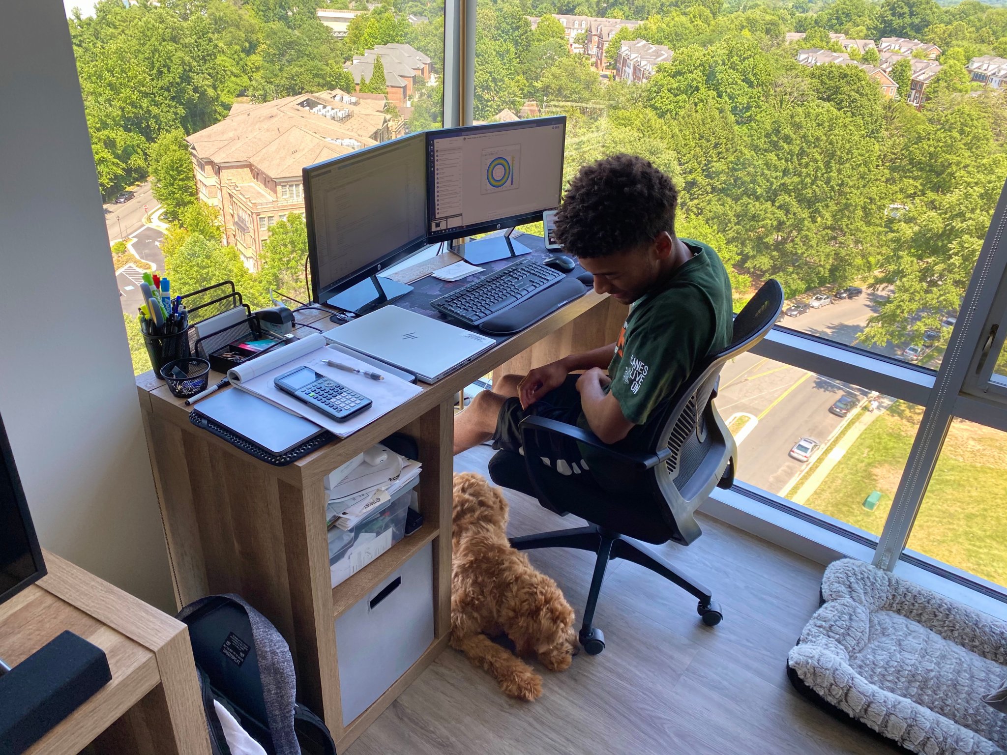 Young man at desk looking down at a brown dog underneath. Elevated view of outside large glass windows.