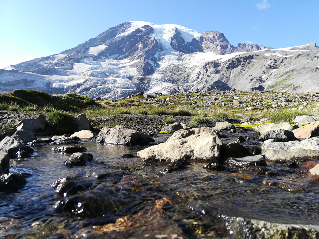 Mt. Rainier