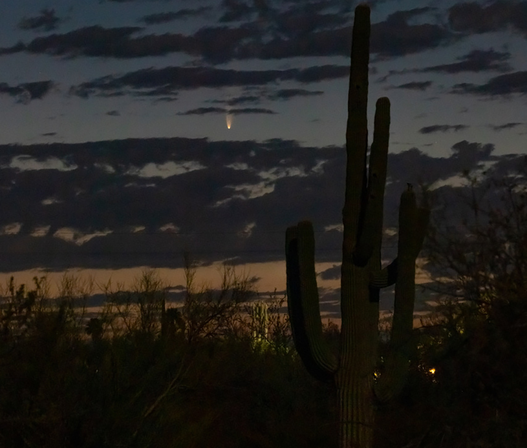 Comet NEOWISE captured on July 6, 2020, above the northeast horizon just before sunrise in Tucson.