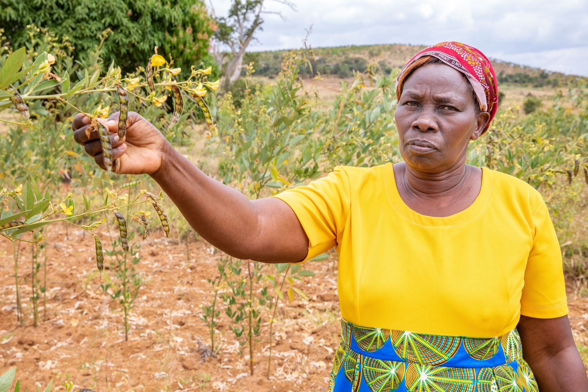 Woman standing by her crops.