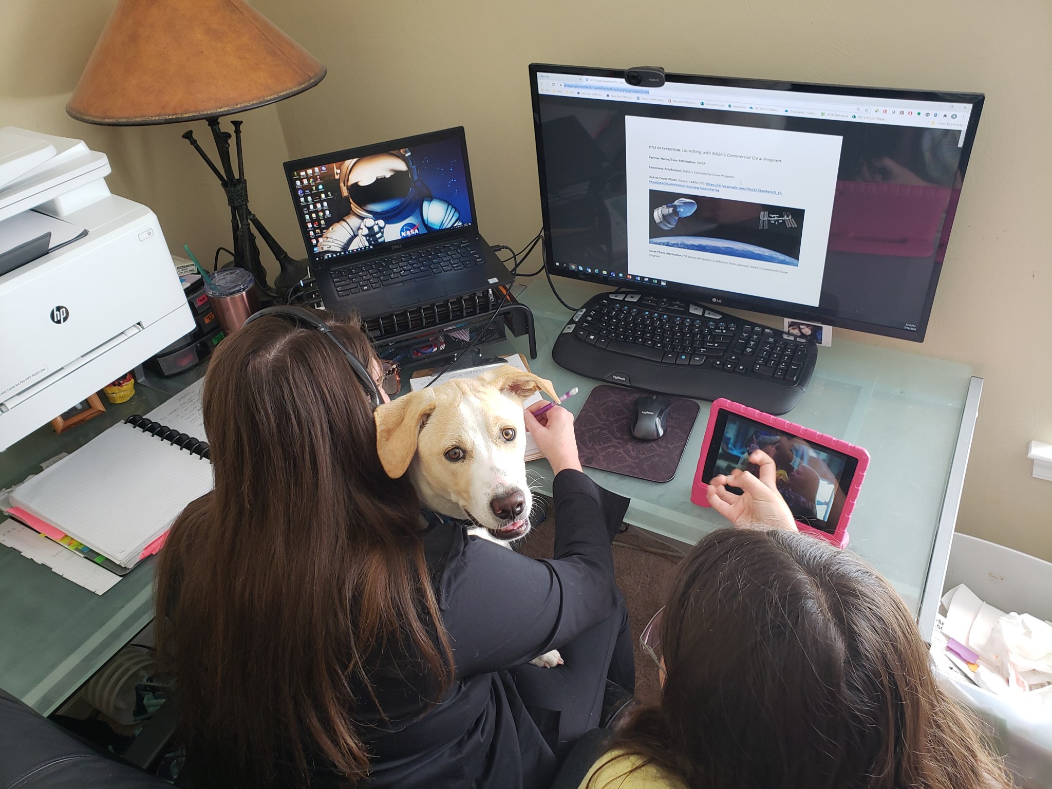 Rosemary Smith, an education specialist at NASA Langley's Office of STEM Engagement, has plenty of company in her home office.