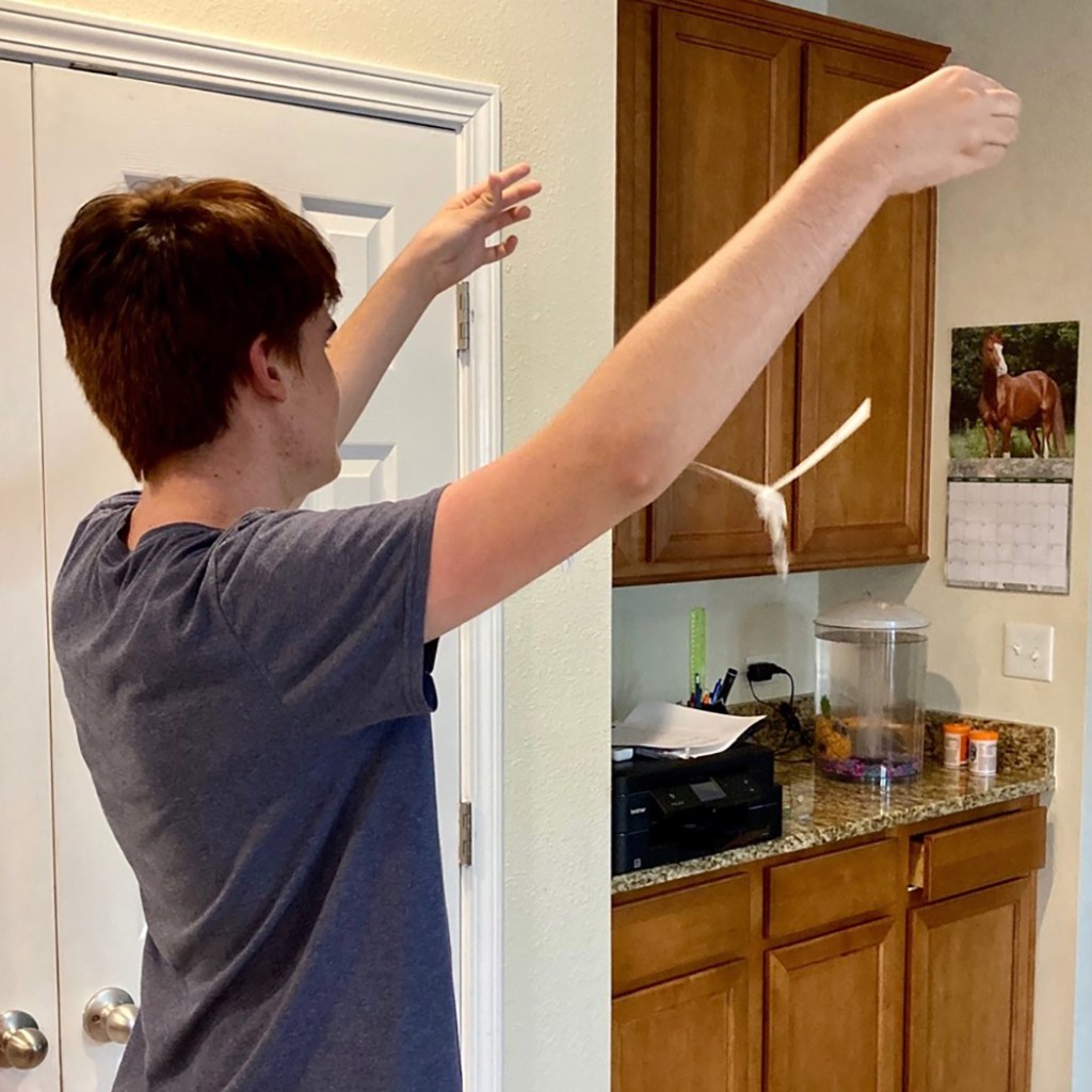 A boy who released a paper helicopter he created doing the Out for a Spin activity