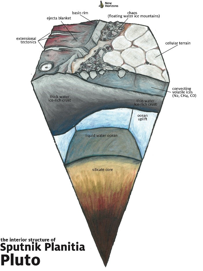 The interior structure of Sputnik Planitia Pluto
