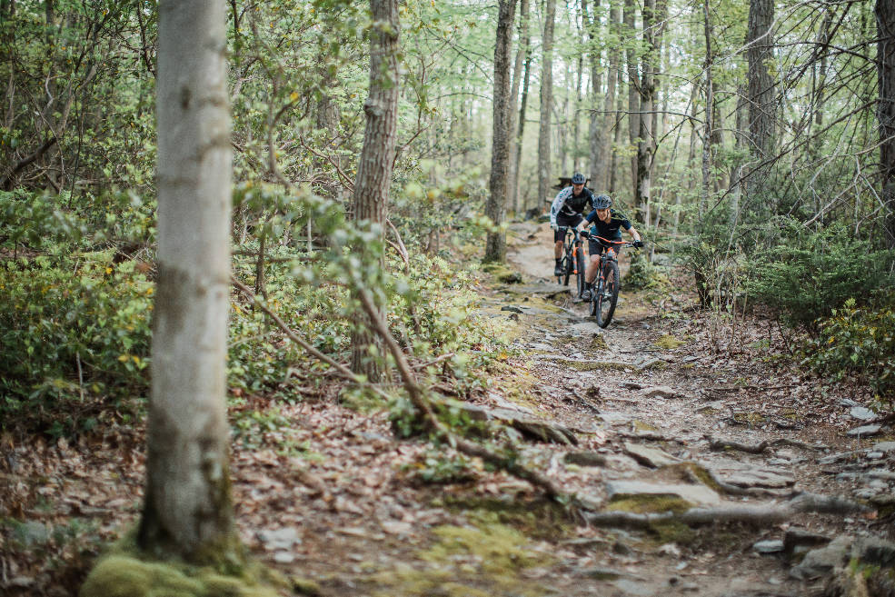 two people biking through a trail in a wooded area
