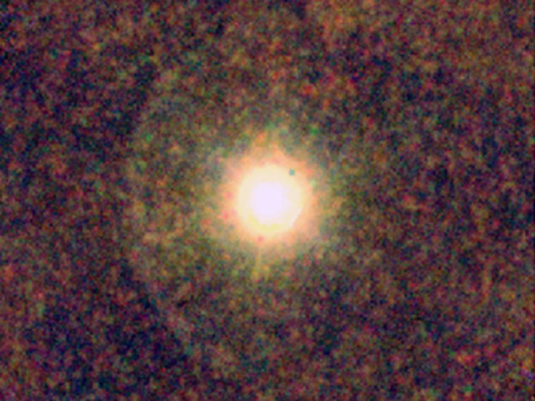 A yellow star surrounded by a clumpy envelope of dust.