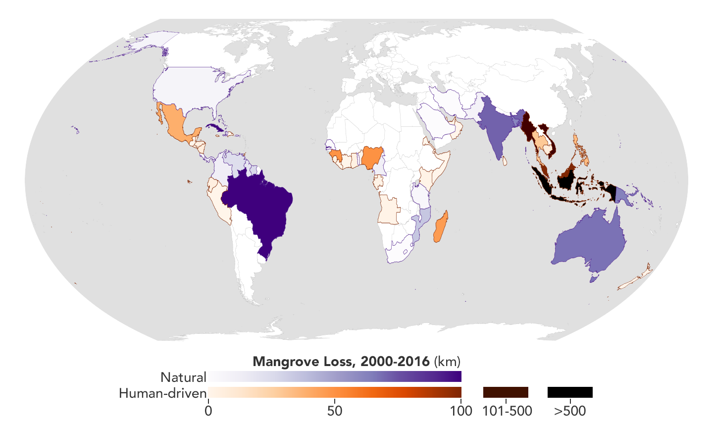 Global map of natural and human-caused mangrove loss from 2000-2016