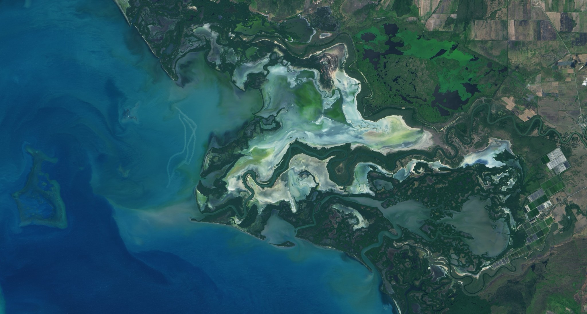 An image of the Río Cauto Delta, which appears as a roughly arrow-shaped section of land pointing out from a coastline toward the left, into deep blue and green ocean. The delta shows paint-like swirls of light blue, gray, and green, which contrast sharply with the dark green trees and land surrounding the delta. Further inland, squares of brown-green farmland can be seen.