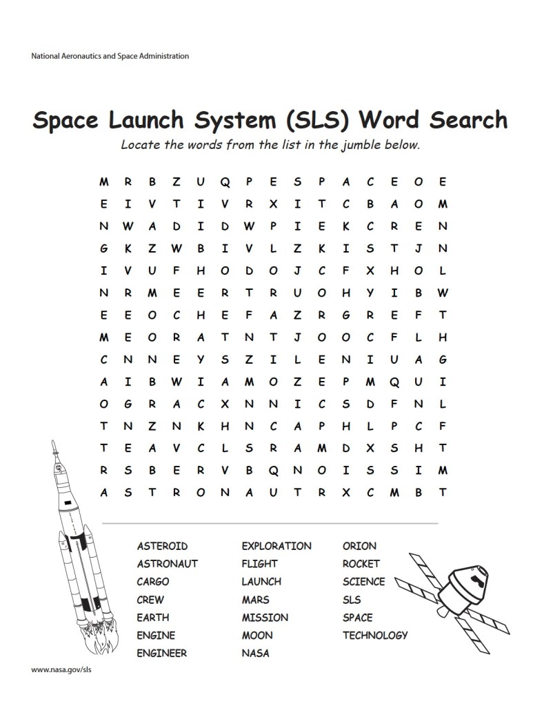 SLS Word Search Activity
