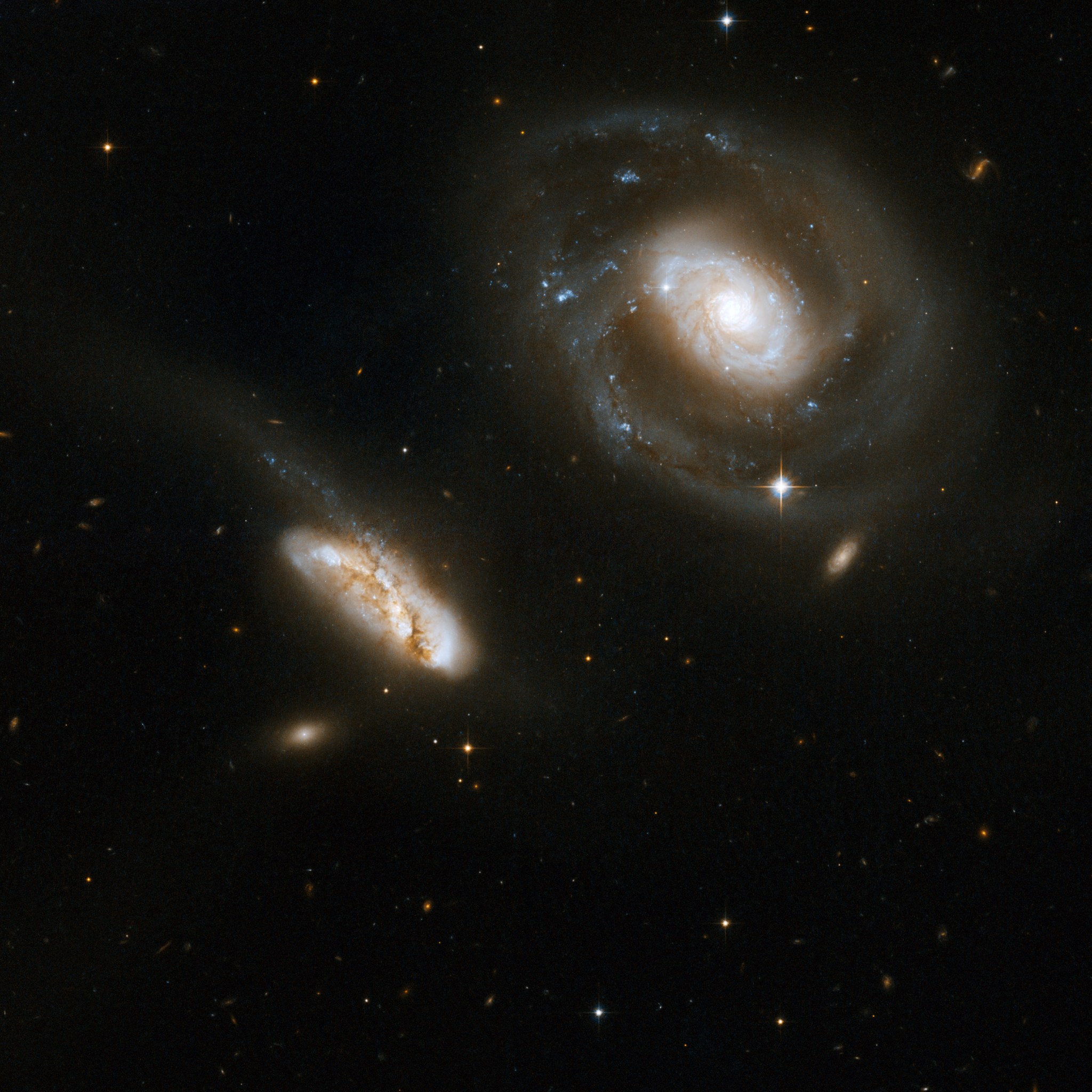 Since the galaxies that make up NGC 7469 are both almost face-on when viewed from Earth, it's easier to where black holes may be