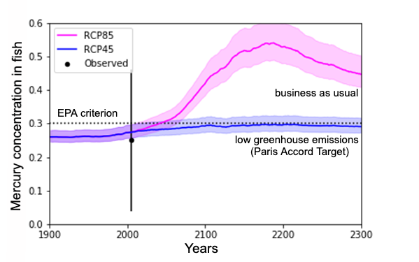 Graph showing mercury concentrations in fish under two emissions scenarios. The u0022low greenhouse emissions (Paris Accord Target)u0022 line stays relatively flat, along the EPA criterion mark. The u0022business as usualu0022 line balloons high above the EPA criterion line.