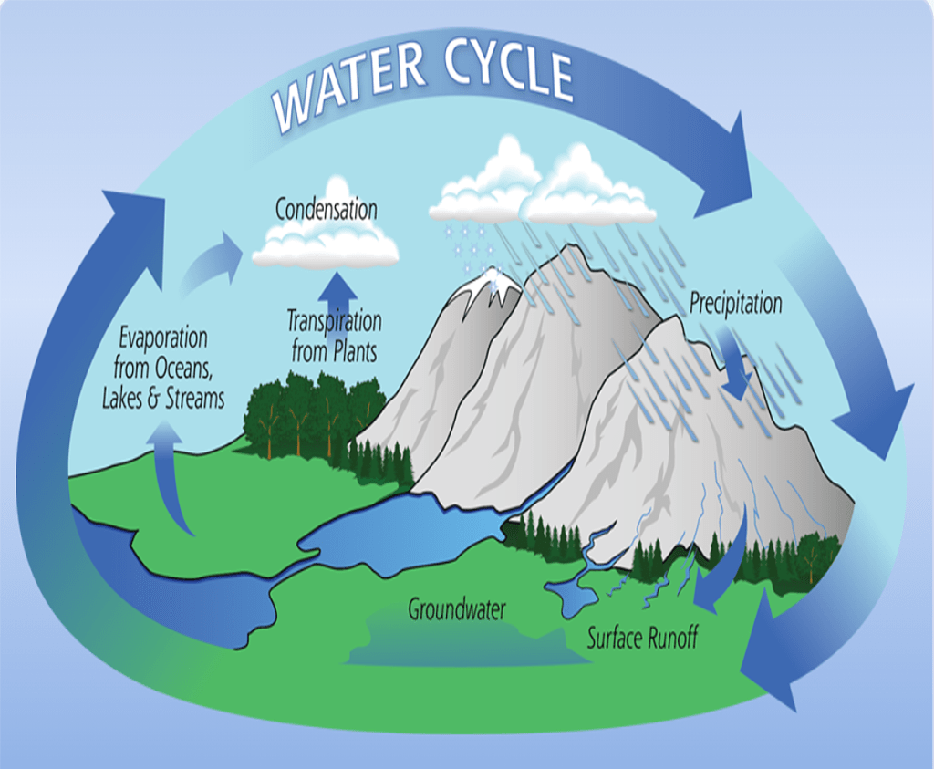 An illustrated diagram of the water cycle