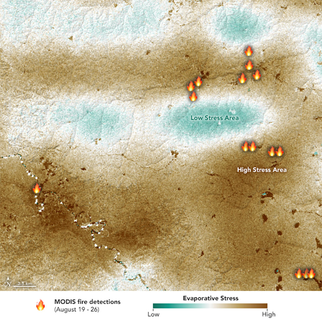 NASA's ECOSTRESS sensor measured the stress levels of plants