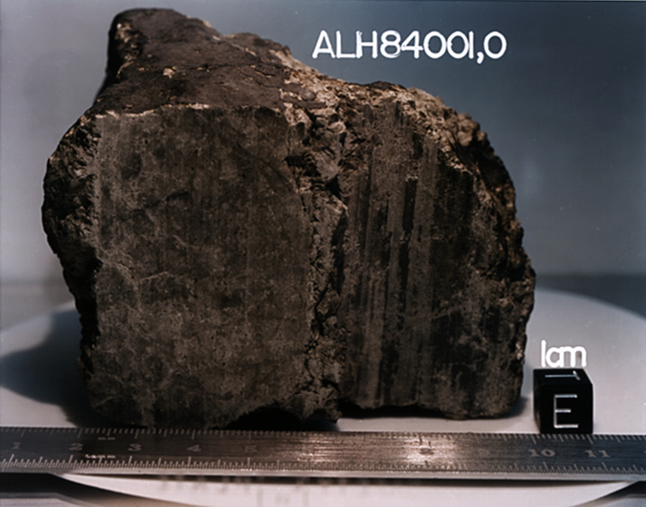 Allan Hills Meteorite