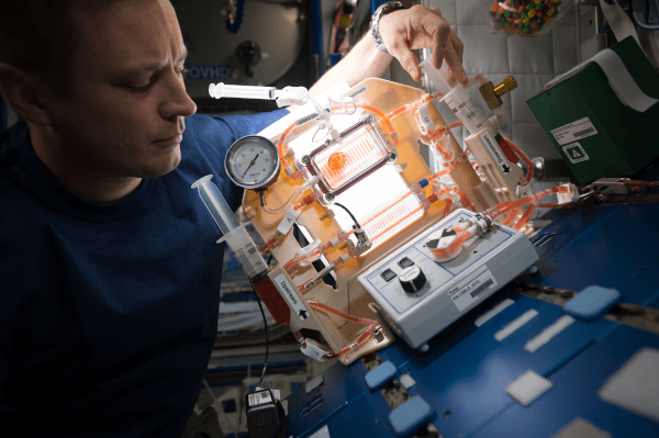 astronaut Jessica Meir works on LMM hardware