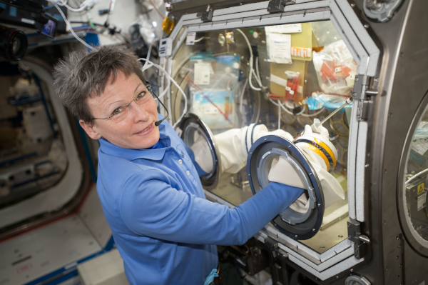 astronaut Peggy Whitson working on OsteoOmics investigation