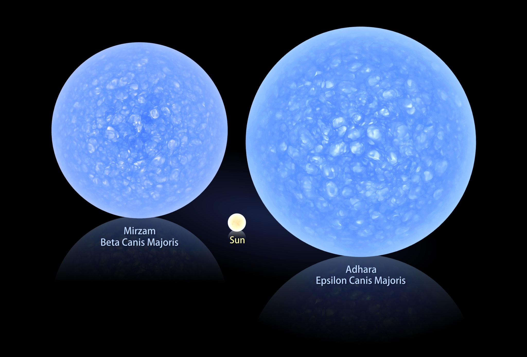 Comparison of the sizes of Epsilon Canis Majoris, Beta Canis Majoris, and our Sun