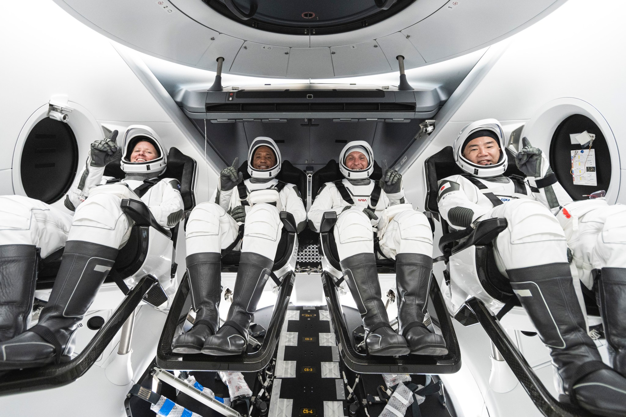 SpaceX Crew-1 portrait