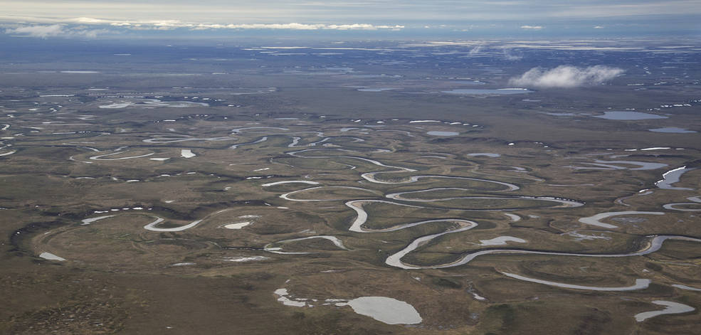 Aerial view of the National Petroleum Reserve in Alaska, many winding waterways cover brownish green land