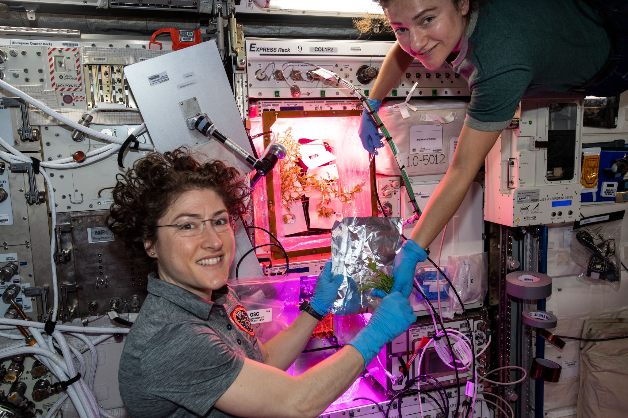 Astronauts work in the Veggie chamber aboard the International Space Station.