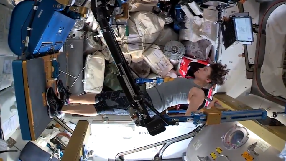 Jessica Meir does squats with the Advanced Resistive Exercise Device on the International Space Station. To preserve Earth muscl