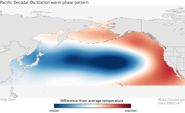 Map of the northern Pacific Ocean showing cool waters surounded by warm waters near the North American coast.