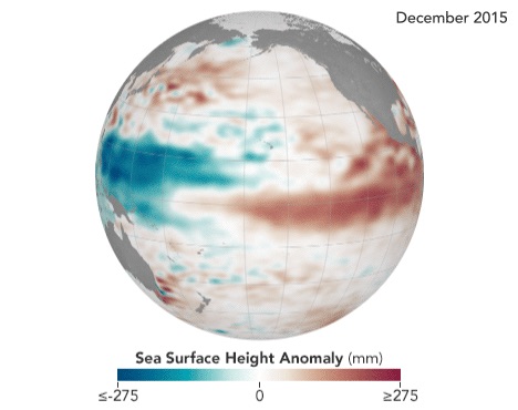 Globe of Earth showing the sea height data that increased above average inthe eastern Pacific during the 2015 El Niño.