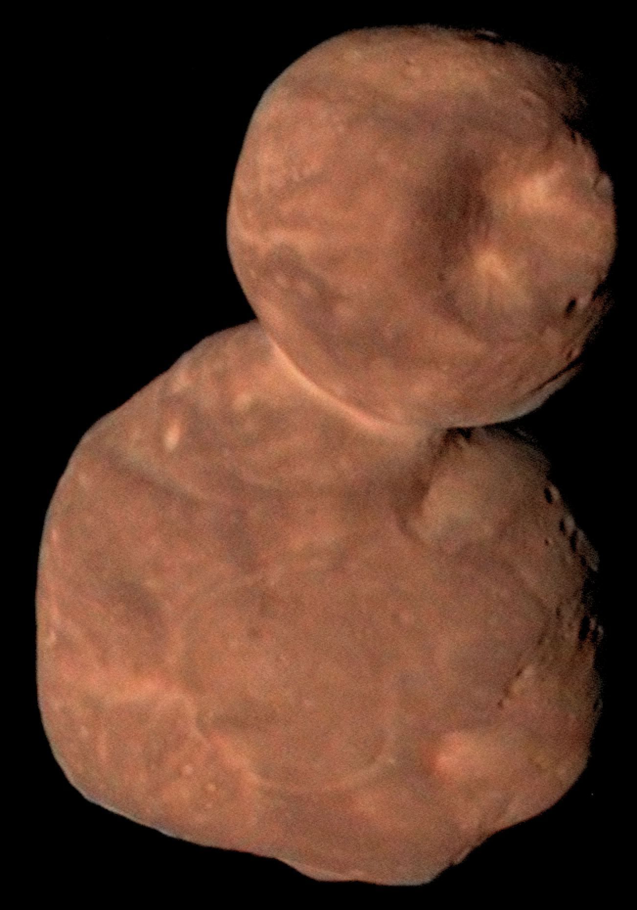 Arrokoth was photographed by the New Horizons spacecraft in December 2018 and January 2019.