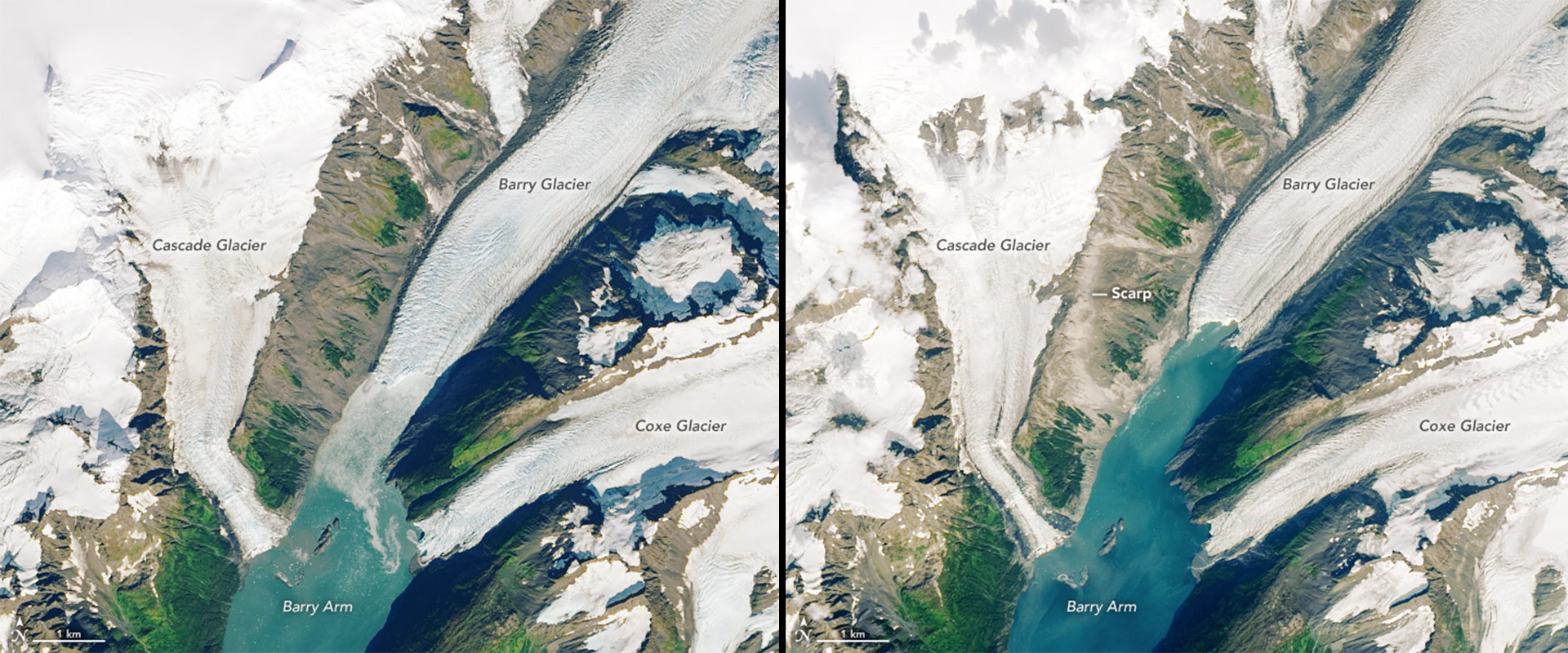 two side by side images of Cascade Glacier and Barry Arm glacier. The image on the left shows more white glacier and the image on the right shows less