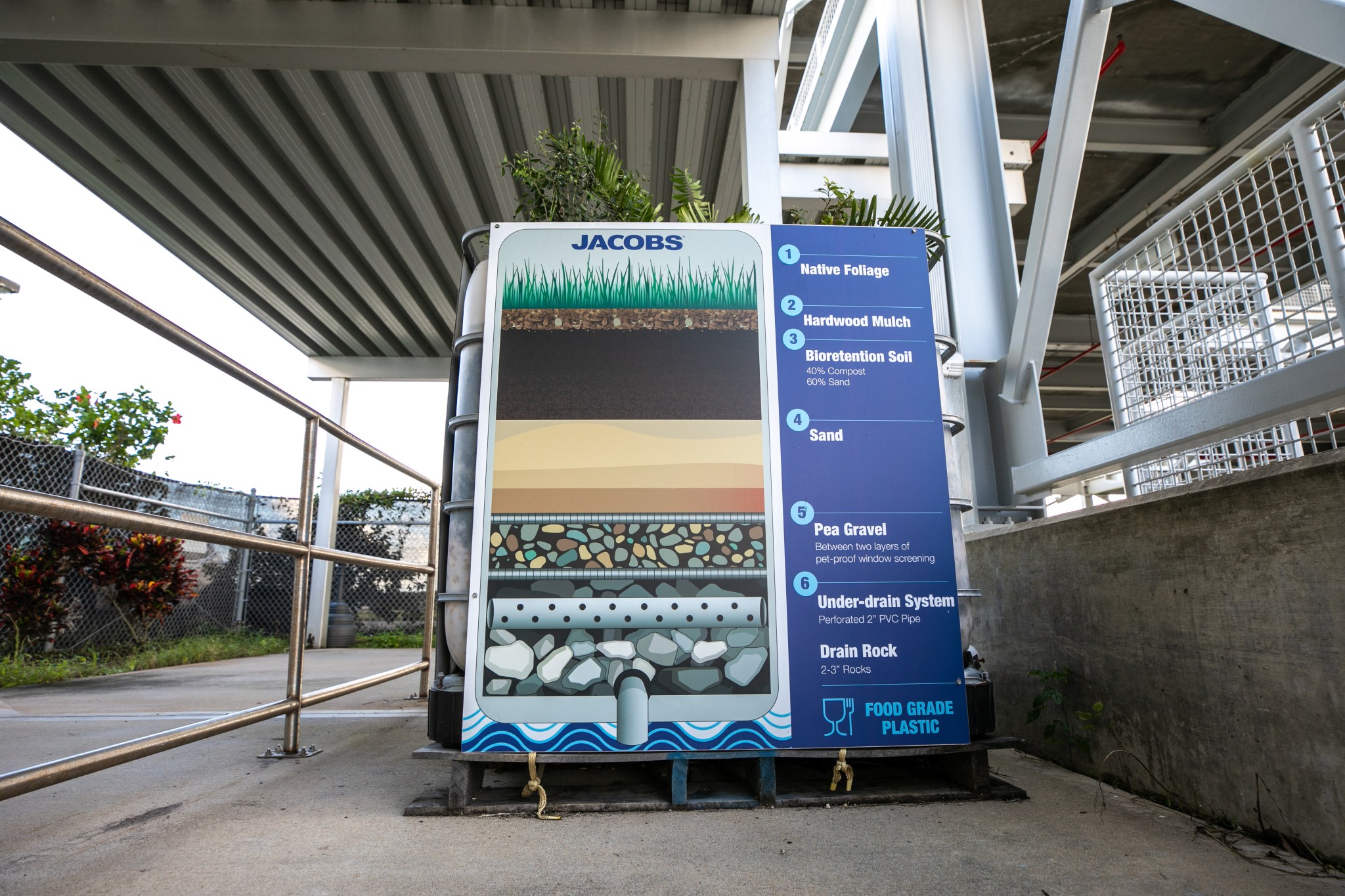 A bio-filter constructed of layered rock, soil, and native plants to filter rainwater runoff.