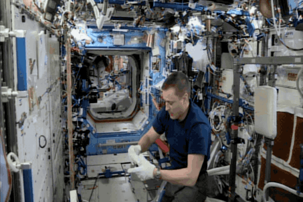 Astronaut wipes down surface inside space station