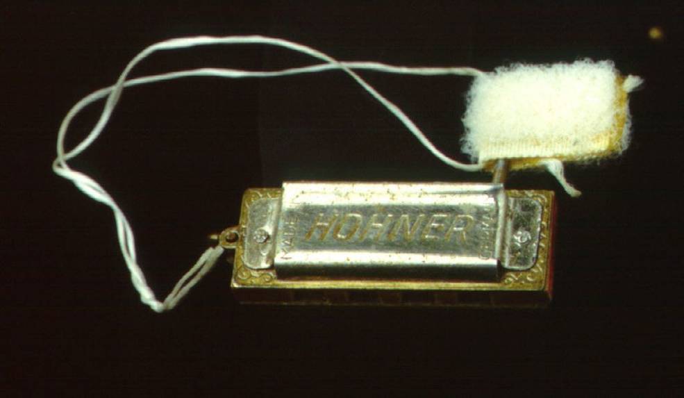 gemini_6_harmonica_nasm