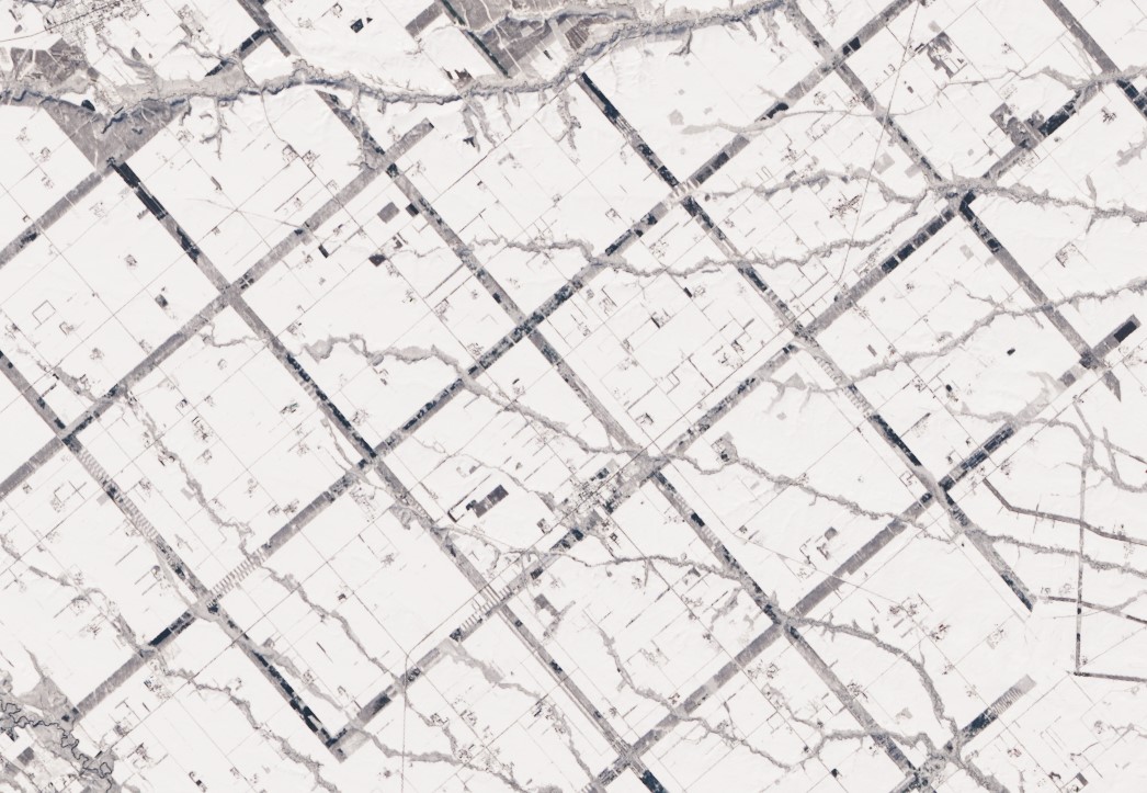 A Windbreak Grid in Hokkaido