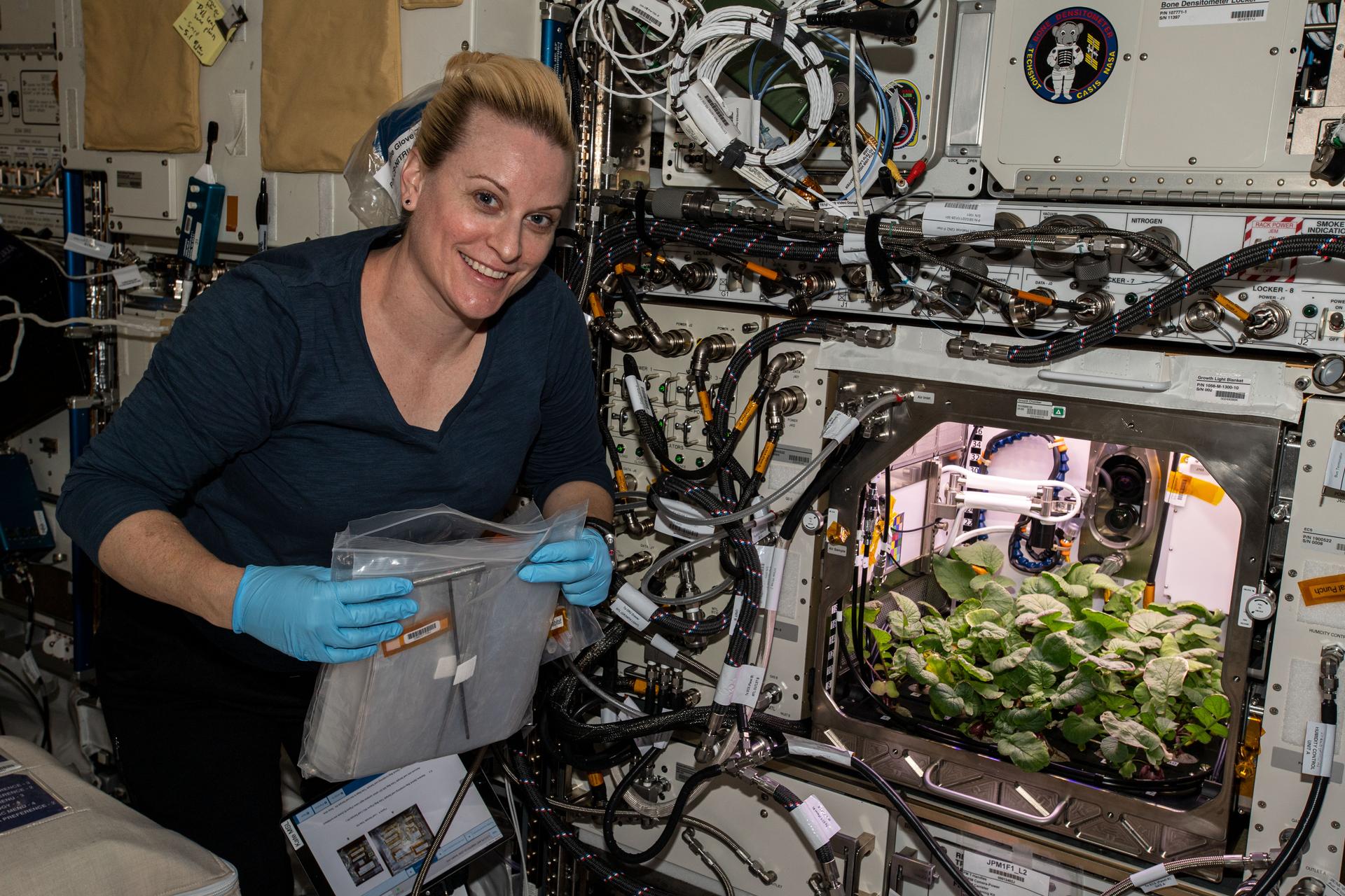 NASA astronaut and Expedition 64 Flight Engineer Kate Rubins checks out radish plants in the Plant Habitat-02 experiment. 