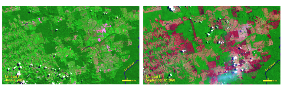 Side by side Landsat images showing deforestation in Brazil.